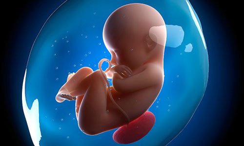 Sự phát triển của thai nhi tuần 20 như thế nào?